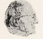 Willi Geiger